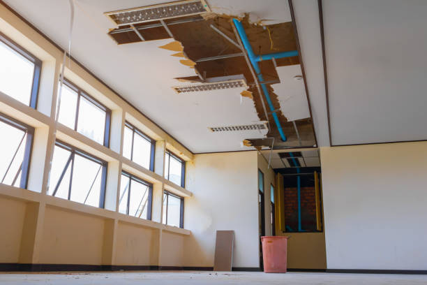 Best Water damage restoration near me  in Kingwood, WV