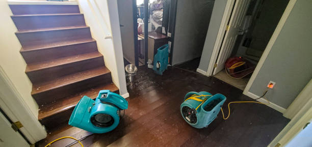 Best Sewage cleanup and water damage restoration  in Kingwood, WV