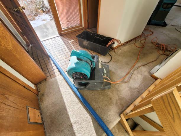 Best Fire Damage Restoration  in Kingwood, WV
