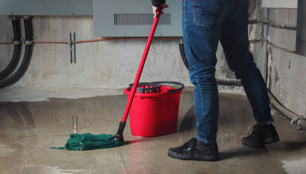 Best Water damage cleanup near me  in Kingwood, WV