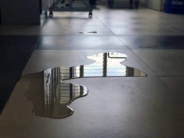 Best Commercial water damage restoration  in Kingwood, WV