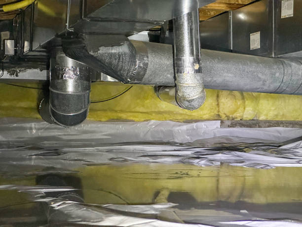 Best Water damage contractors near me  in Kingwood, WV