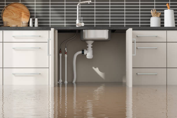 Best Water damage contractors near me  in Kingwood, WV