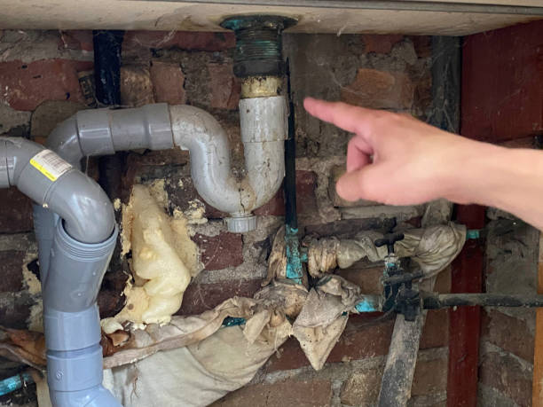 Best Flooded house restoration  in Kingwood, WV