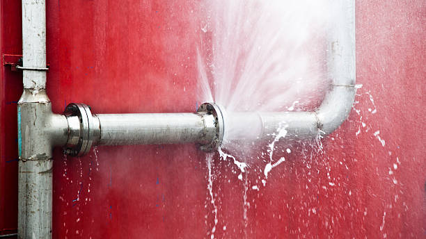 Best Professional water damage repair  in Kingwood, WV