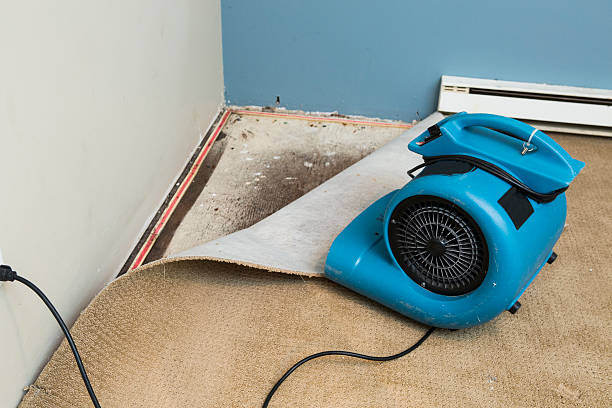 Best Flooded house restoration  in Kingwood, WV